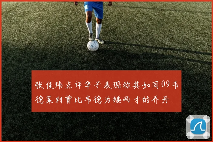 张佳玮点评华子表现称其如同09韦德莱利曾比韦德为矮两寸的乔丹