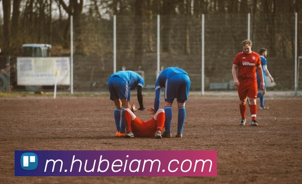 九游入口官网登录APP 封面图